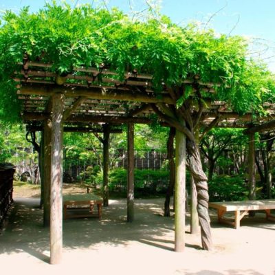 Une pergola végétale, le petit coin de paradis pour votre habitation.